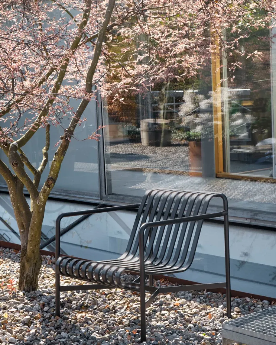 Butaca Lounge Palissade Low, Anthracite