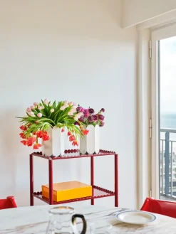 Carrito Arcs Trolley High, Auburn red