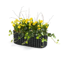 Cesta balcón Korbo, acero resistente a los ácidos