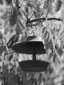 Comedero para pájaros Cortivo , Rust, Ø25x100 cm