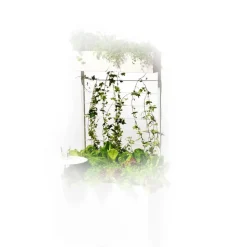 Emparrado Urban, Blanco