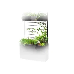 Emparrado Urban, Negro