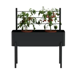 Enrejada para caja de cultivo Simply Grow, Black