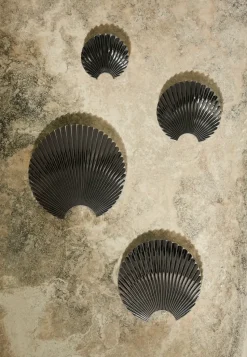 Gancho Concha plata, XS