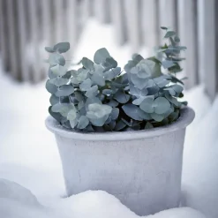 Maceta Cilla Ø37 cm, Aluminio