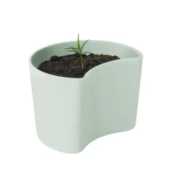Maceta con semillas YOUR TREE, verde (pino)