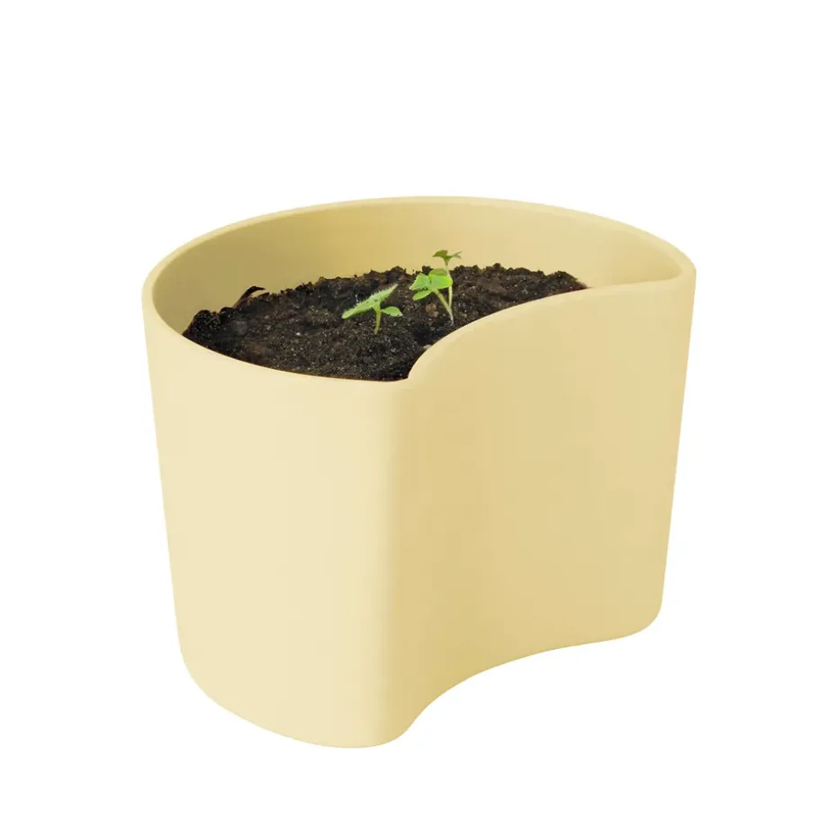 Maceta con semillas YOUR TREE, amarillo (abedul)