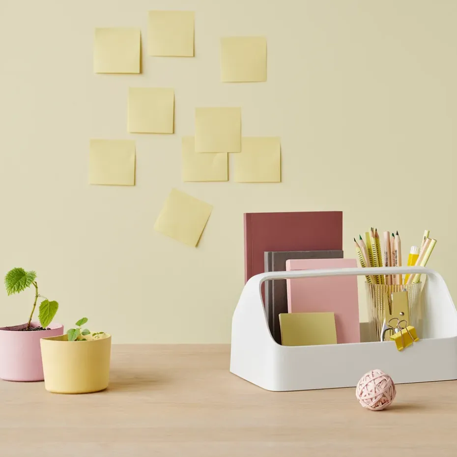 Maceta con semillas YOUR TREE, amarillo (abedul)