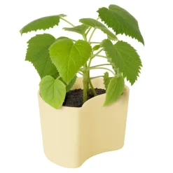 Maceta con semillas YOUR TREE, amarillo (abedul)