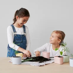 Maceta con semillas YOUR TREE, amarillo (abedul)