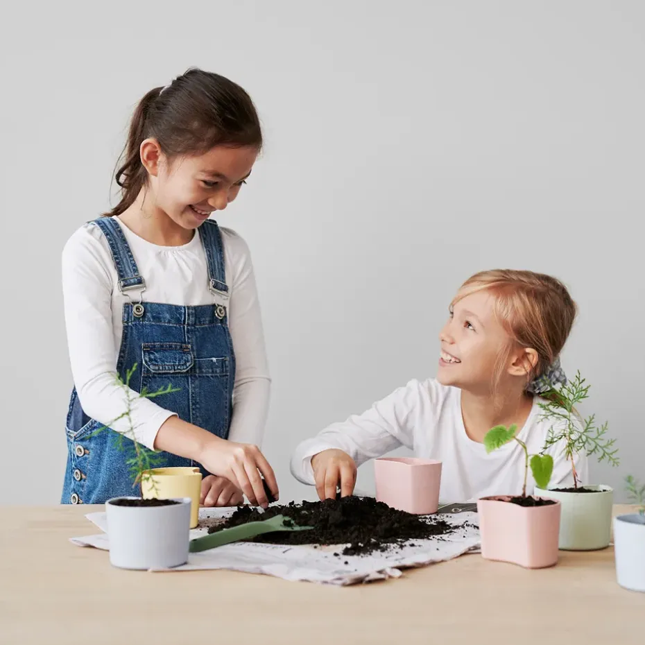 Maceta con semillas YOUR TREE, amarillo (abedul)