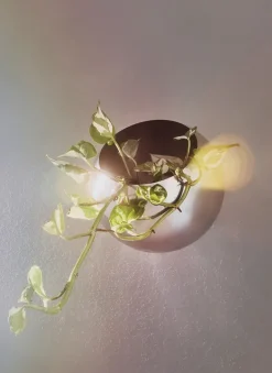 Maceta de pared Globe Ø21 cm, Plata