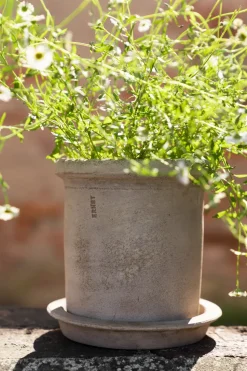 Maceta de terracota Ernst con plato, Ø16×16 cm