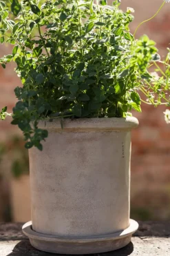 Maceta de terracota Ernst con plato, Ø20×20 cm