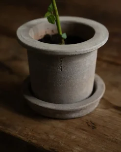 Maceta de terracota Ernst con plato, Ø12 × 10 cm