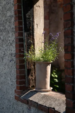 Maceta de terracota Ernst con plato, Ø25x35 cm