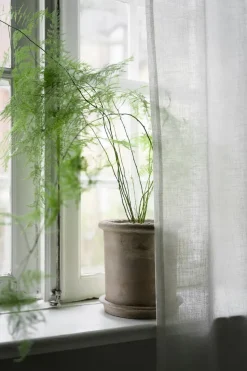 Maceta de terracota Ernst con plato, Ø25×28 cm