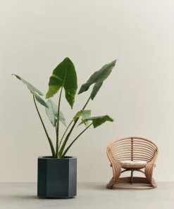 Maceta Funki L 52 cm, Raw Iron