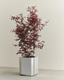 Maceta Funki XL 70 cm, Brushed Aluminium