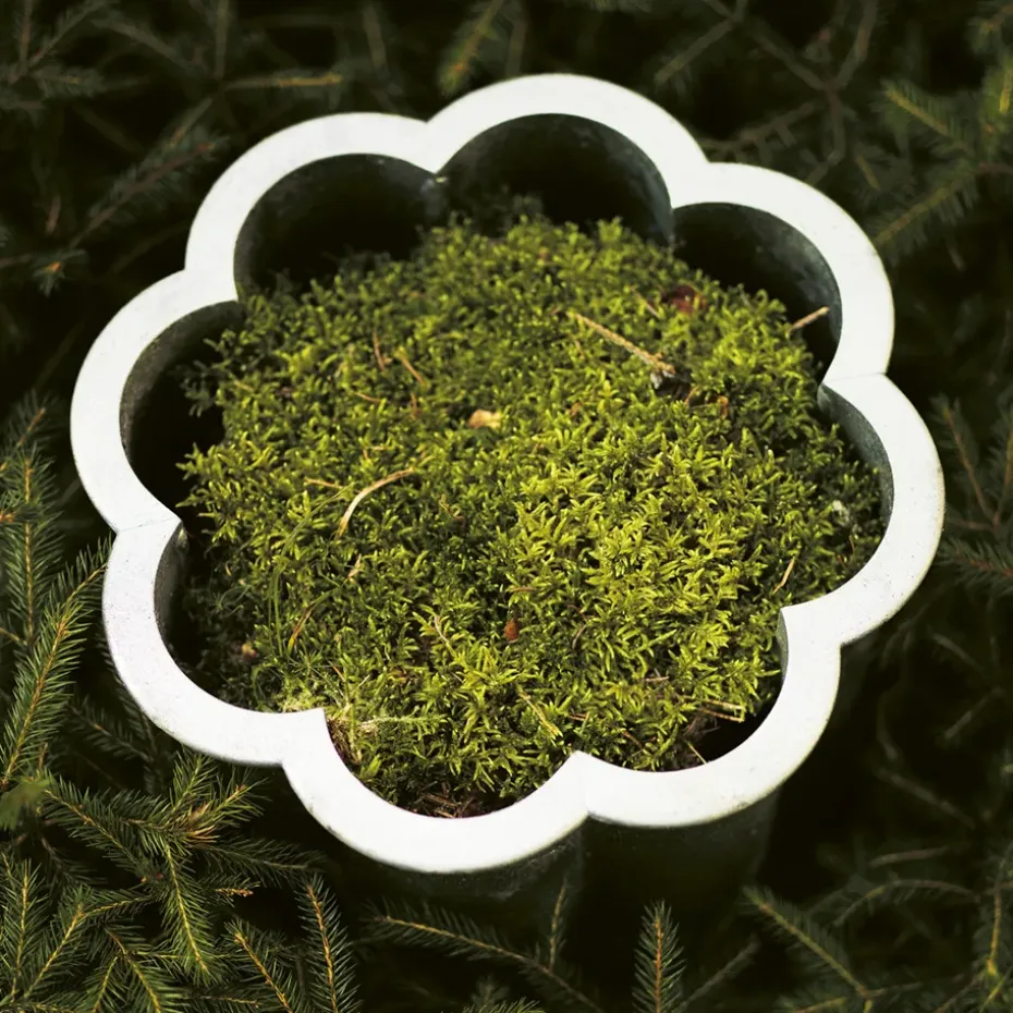 Maceta Gråsippa, Aluminio fundido a la arena, no. 2 Ø41 cm