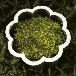 Maceta Gråsippa, Aluminio fundido en arena, n. 3 Ø62 cm