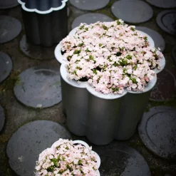 Maceta Gråsippa, Aluminio fundido en arena, no. 1 Ø33 cm