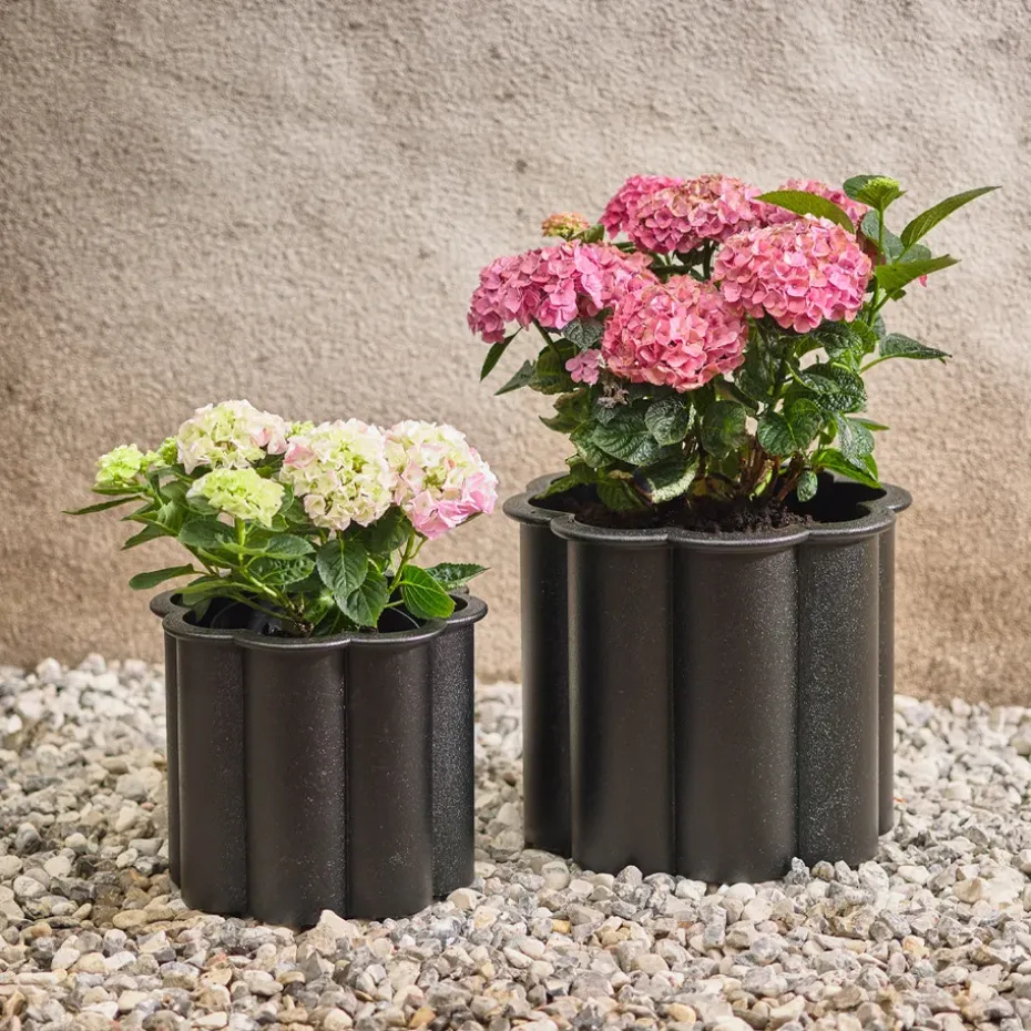 Maceta Gråsippa, Negro, n. 3 Ø62 cm