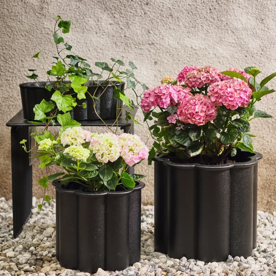 Maceta Gråsippa, Negro, no. 2 Ø41 cm