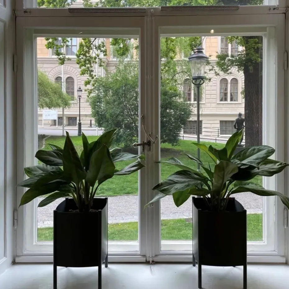 Maceta Konvex Pot, Gris, pequeña Ø23 cm