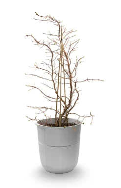 Maceta Linea nr 1 alta, Aluminio