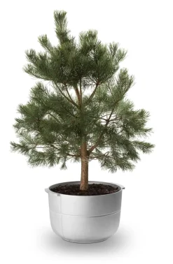 Maceta Linea nr 2 media, Aluminio