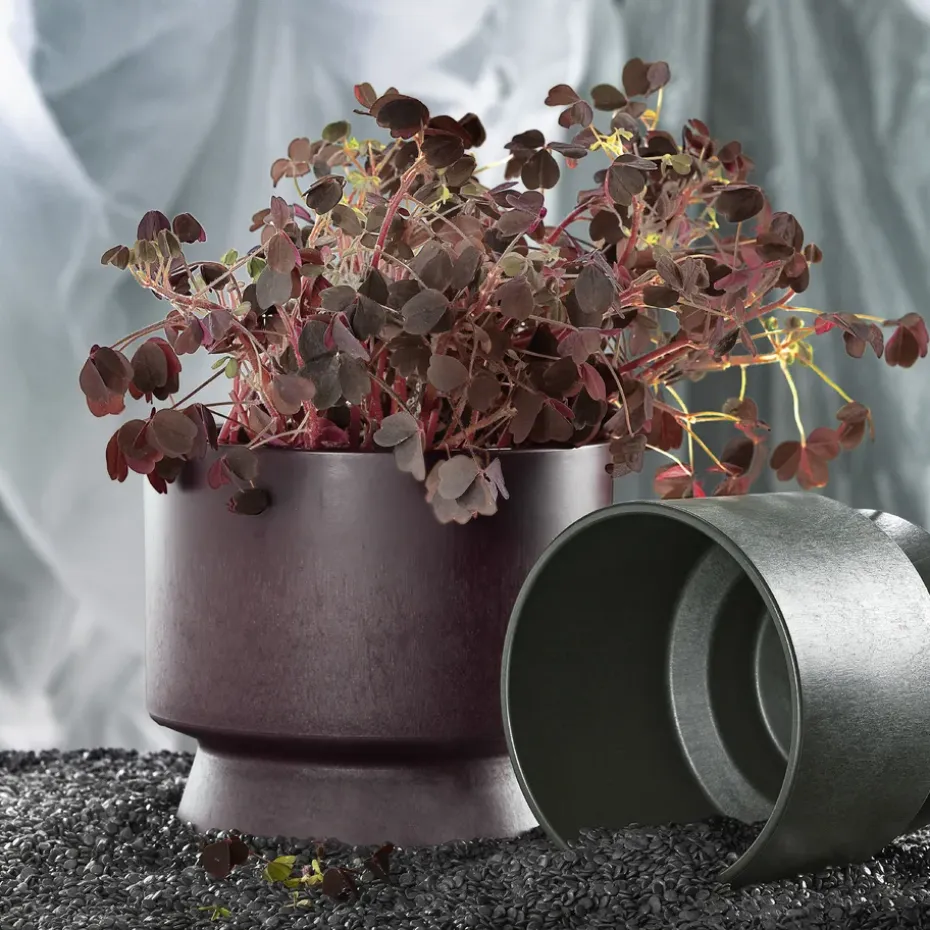 Maceta Ro Ø19 cm, Bordeaux