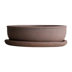 Maceta Terra bowl, Brown, Ø30 × 10,5 cm
