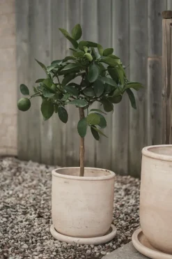 Maceta Terra, Sand, Ø23×26 cm