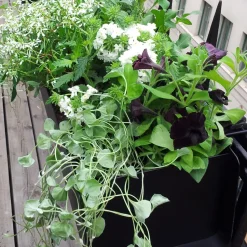 Macetero de ventana Jorda, Negro 60 cm