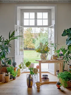 Mesa consola Serrone, Nature