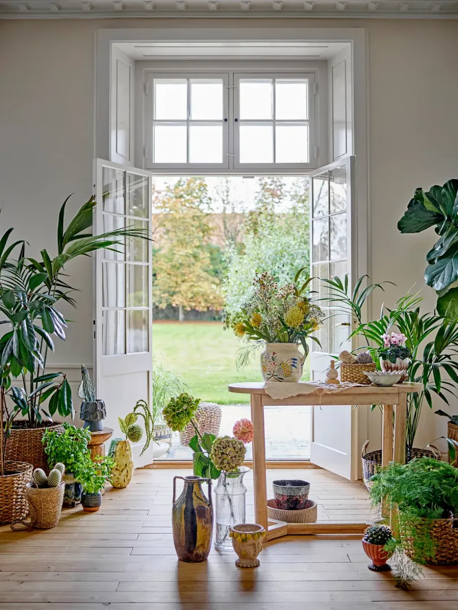 Mesa consola Serrone, Nature