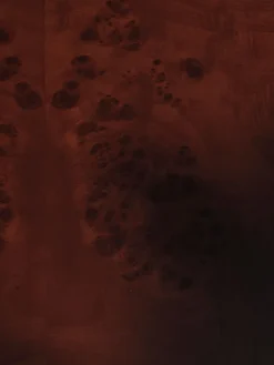 Mesa de centro Burl storage 70x70 cm, Dark stained burl