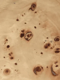 Mesa de centro Burl 70x117x30 cm, Natural