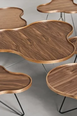 Mesa Flower mono Edición Especial 107x114 cm, H45 cm-nogal lacado-acero cromado