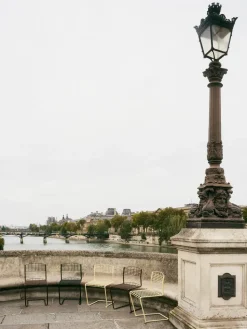 Silla High Tech, Chestnut