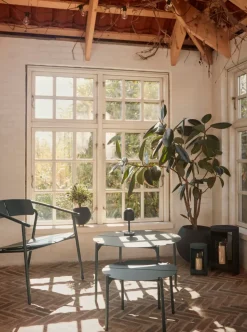 Silla lounge NOVO, Forest