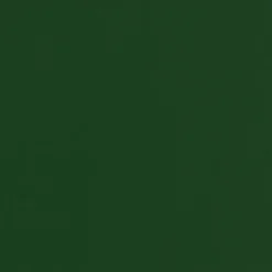 Sillón lounge Chisel, Haya lacada color verde intenso