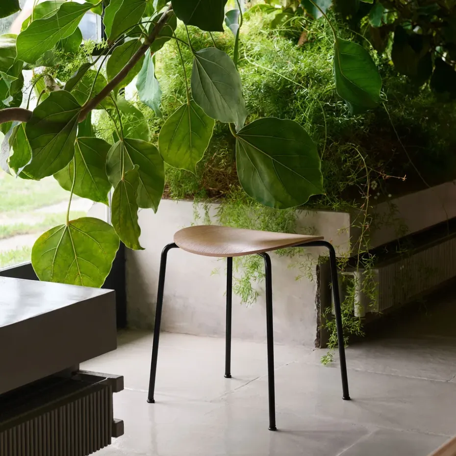 Taburete Pavilion AV36, Black-lacquered oak